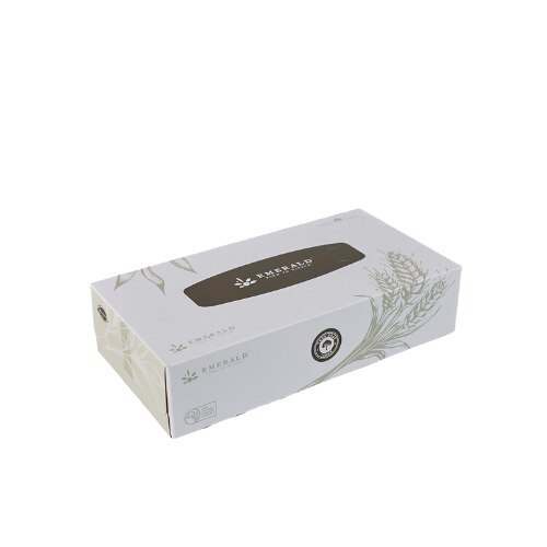 TreeFree™ Compostable 2Ply Facial Tissue, Flat Box 100 Tissues/Box